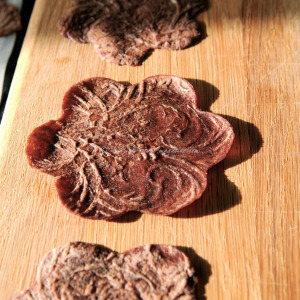 chocolate pancake flowers © www.ice-cream-magazine.com